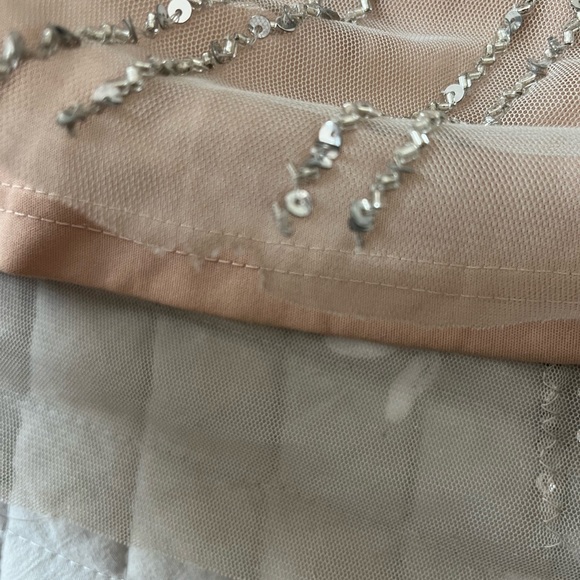 Adrianna Pappell gown - Picture 8 of 9